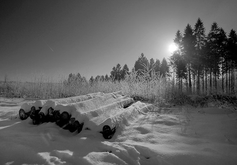 Winter 2 _DDC8539 Kopie.jpg